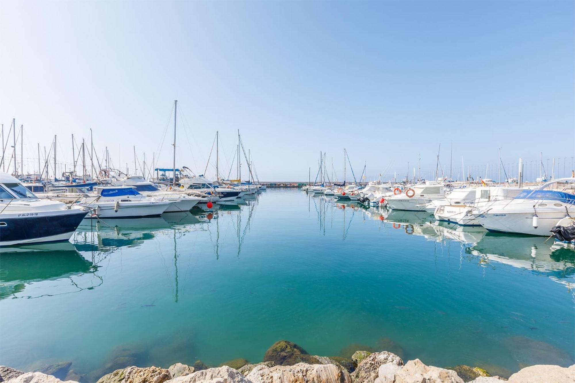 شقة A&N Seaport Caleta كاليتا دي فيليز المظهر الخارجي الصورة
